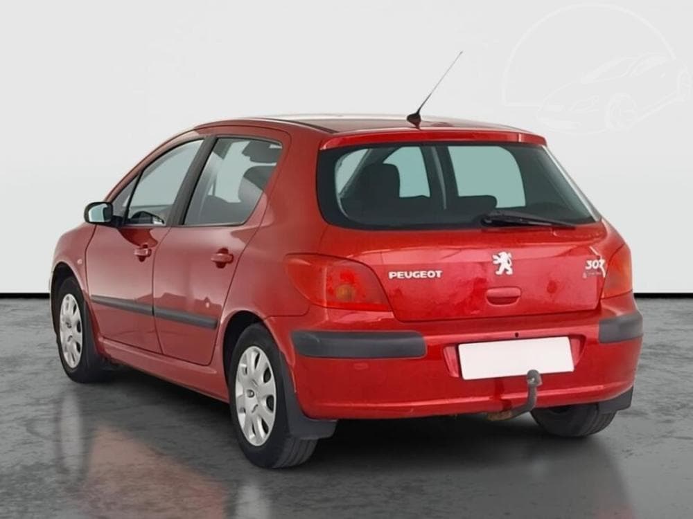 2004 Peugeot 307 - 4