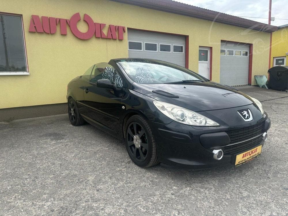 2007 Peugeot 307