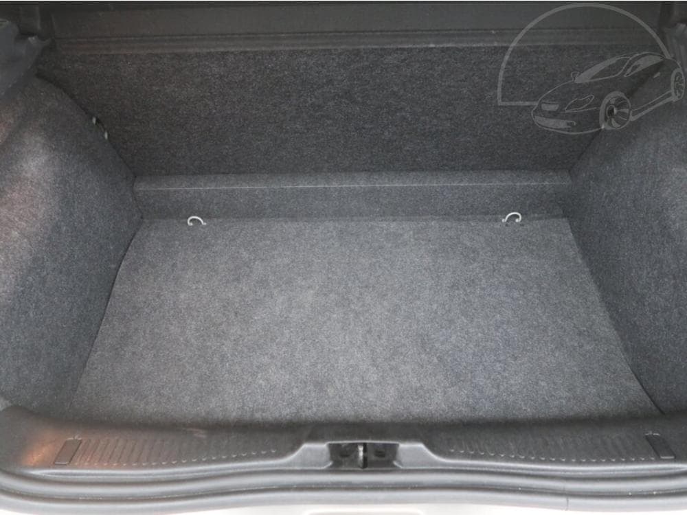 2010 Renault CLIO - 13