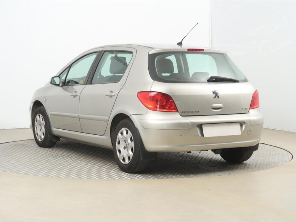 2007 Peugeot 307 - 7