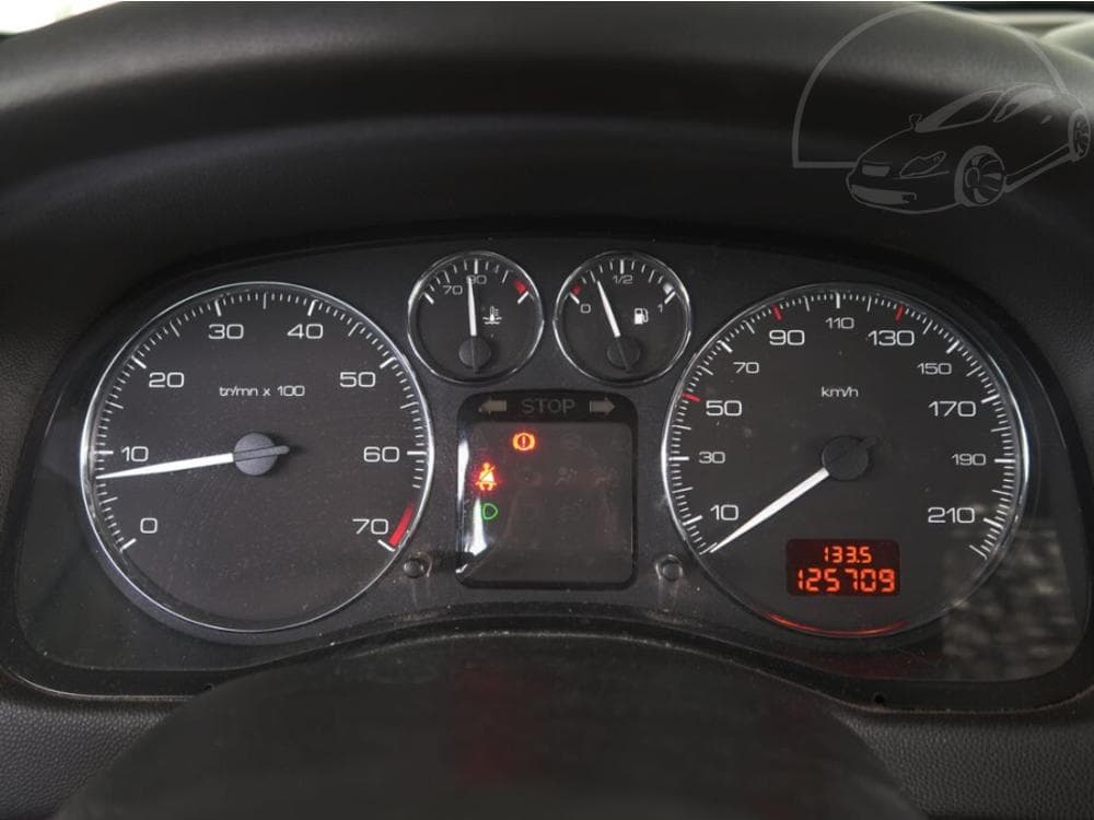 2007 Peugeot 307 - 21