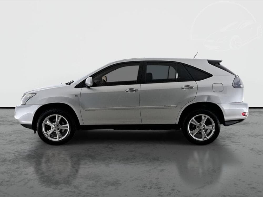 2009 Lexus RX - 3