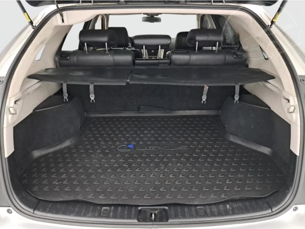 2009 Lexus RX - 14