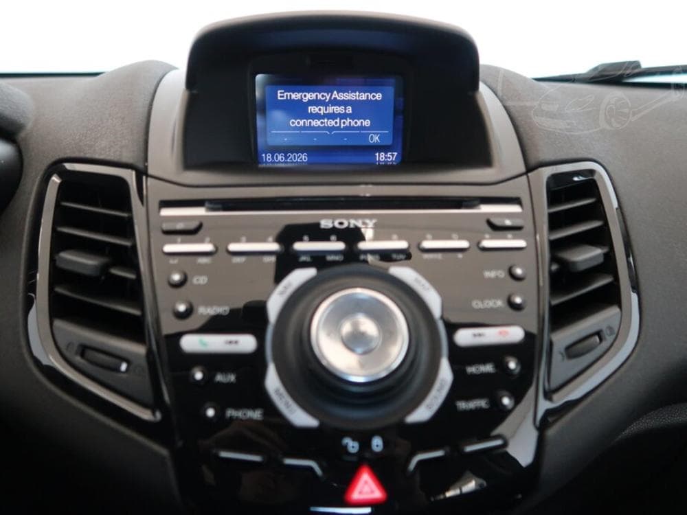 2014 Ford FIESTA - 12