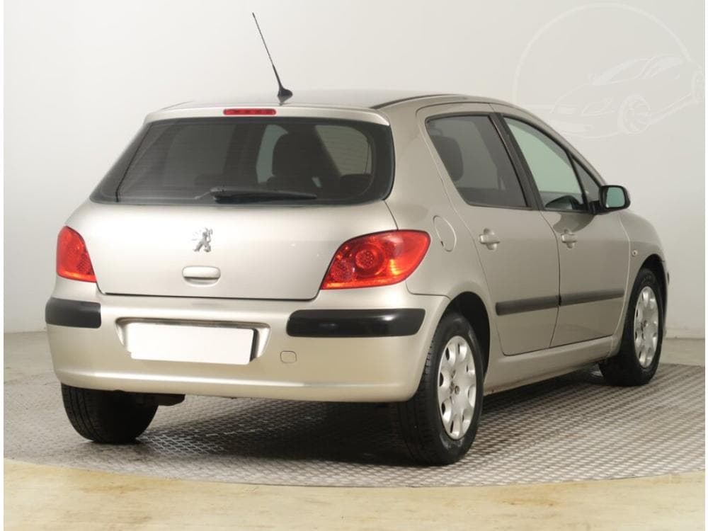 2007 Peugeot 307 - 5