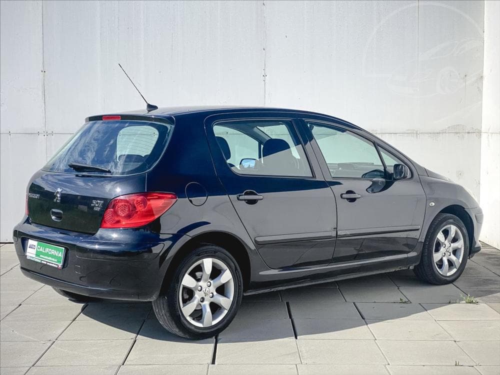 2006 Peugeot 307 - 11