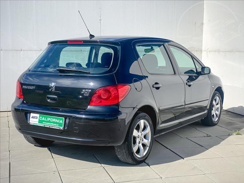 2006 Peugeot 307 - 13