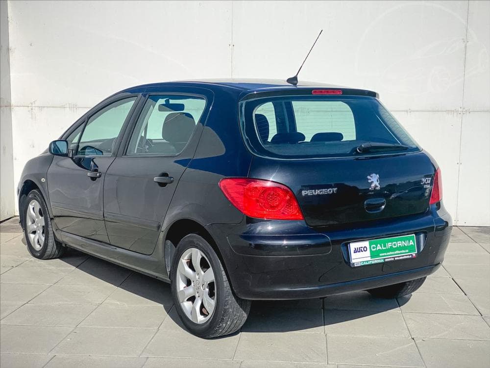 2006 Peugeot 307 - 19