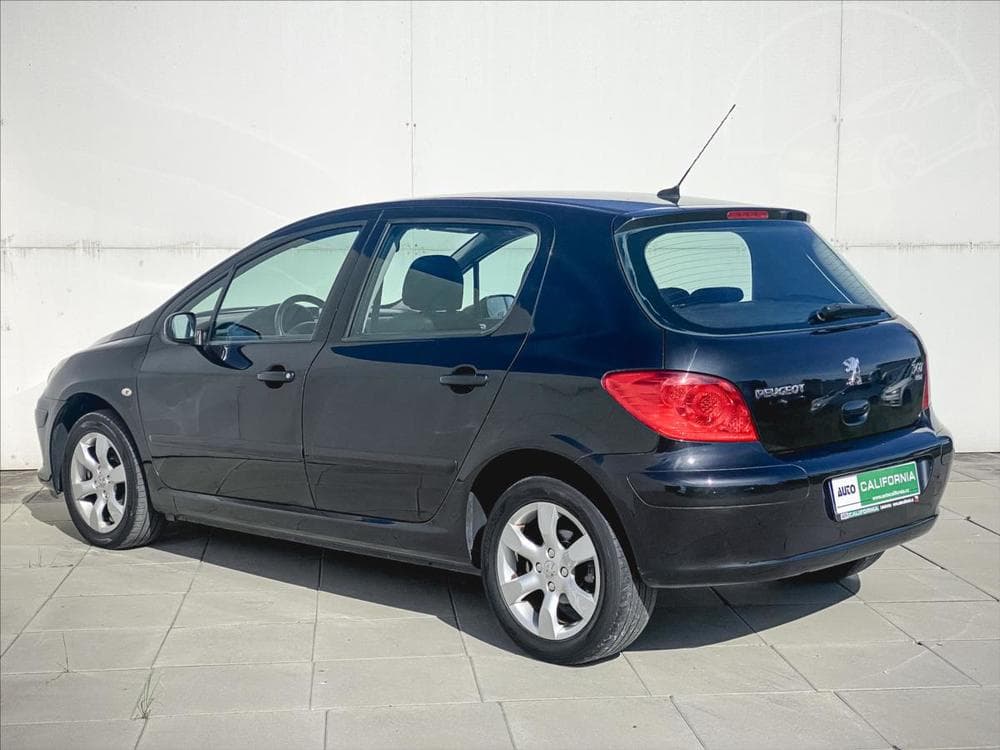 2006 Peugeot 307 - 21