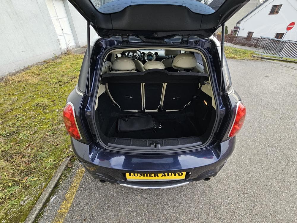 2011 Mini COUNTRYMAN - 11