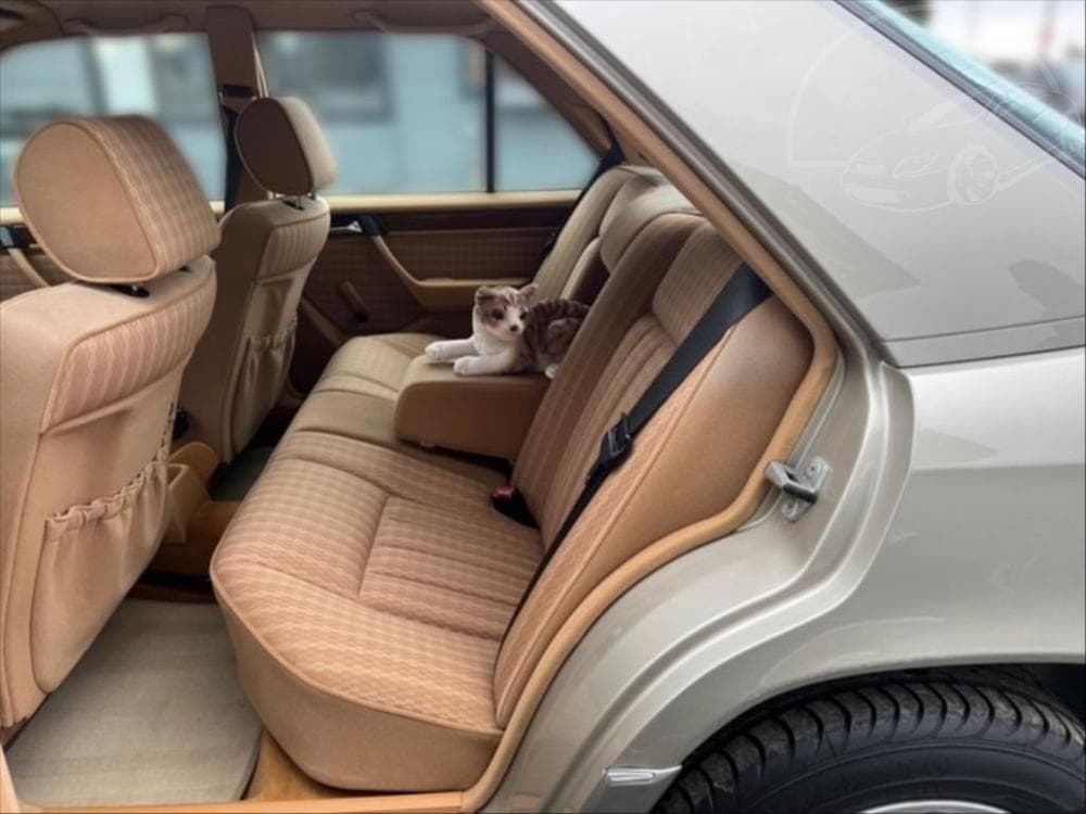 1990 Mercedes-Benz Ostatní - 8