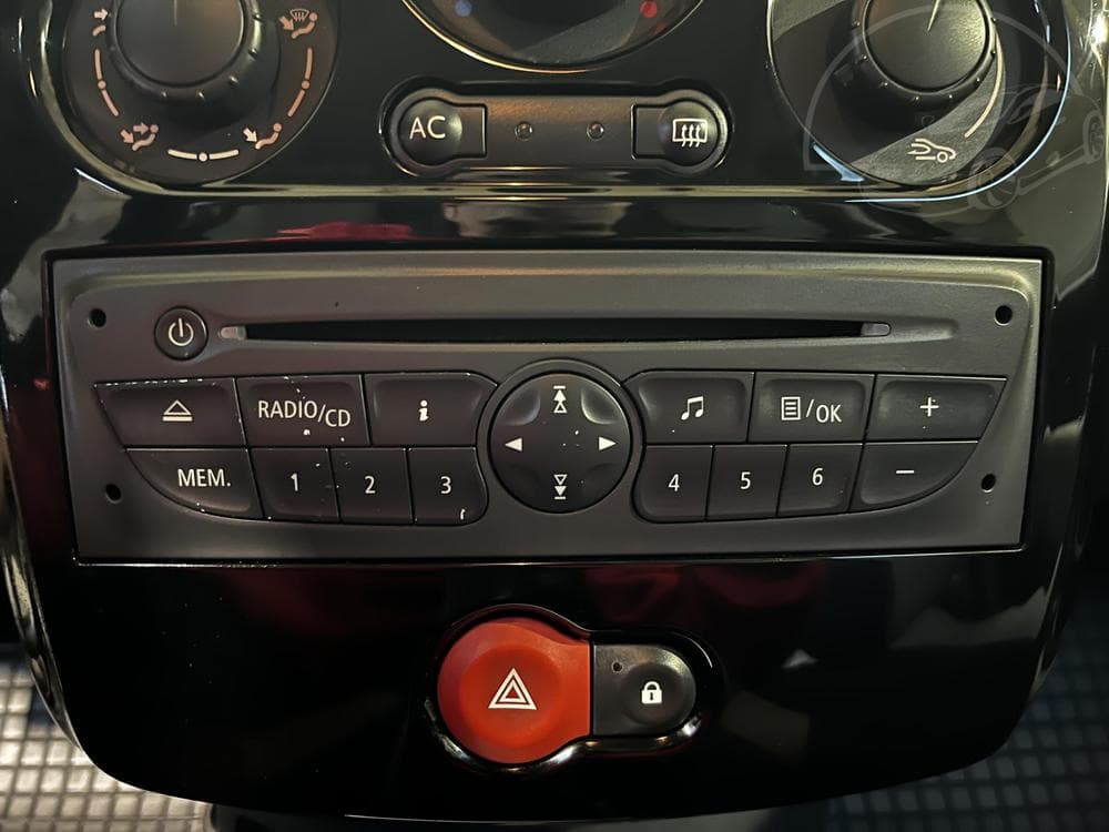 2010 Renault CLIO - 13
