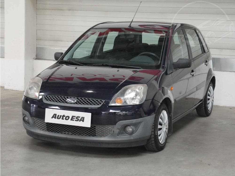 2006 Ford FIESTA - 3