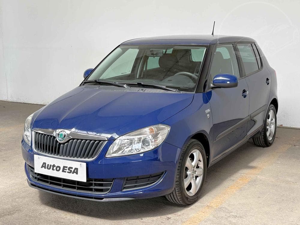 2011 Škoda FABIA - 3