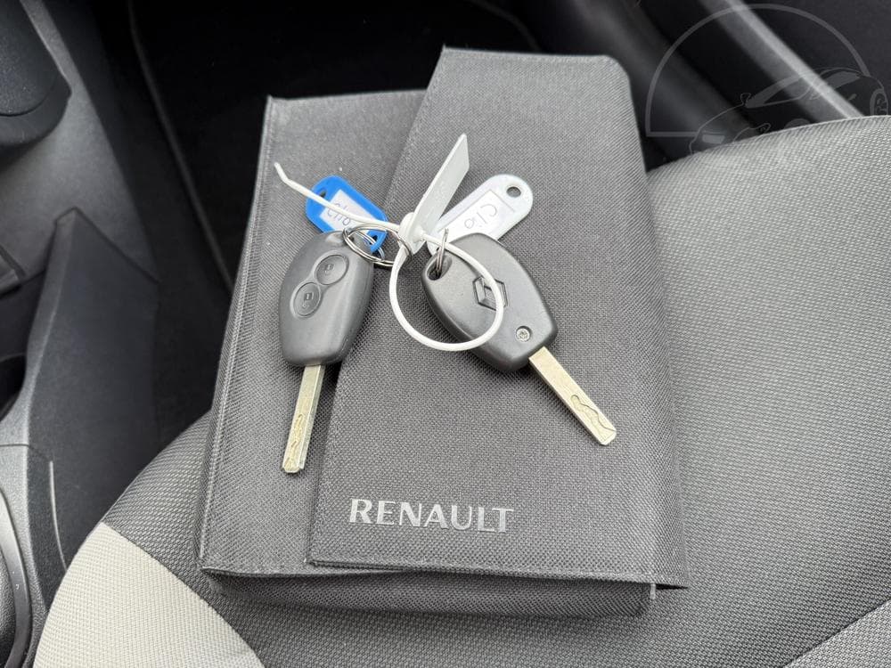2009 Renault CLIO - 43