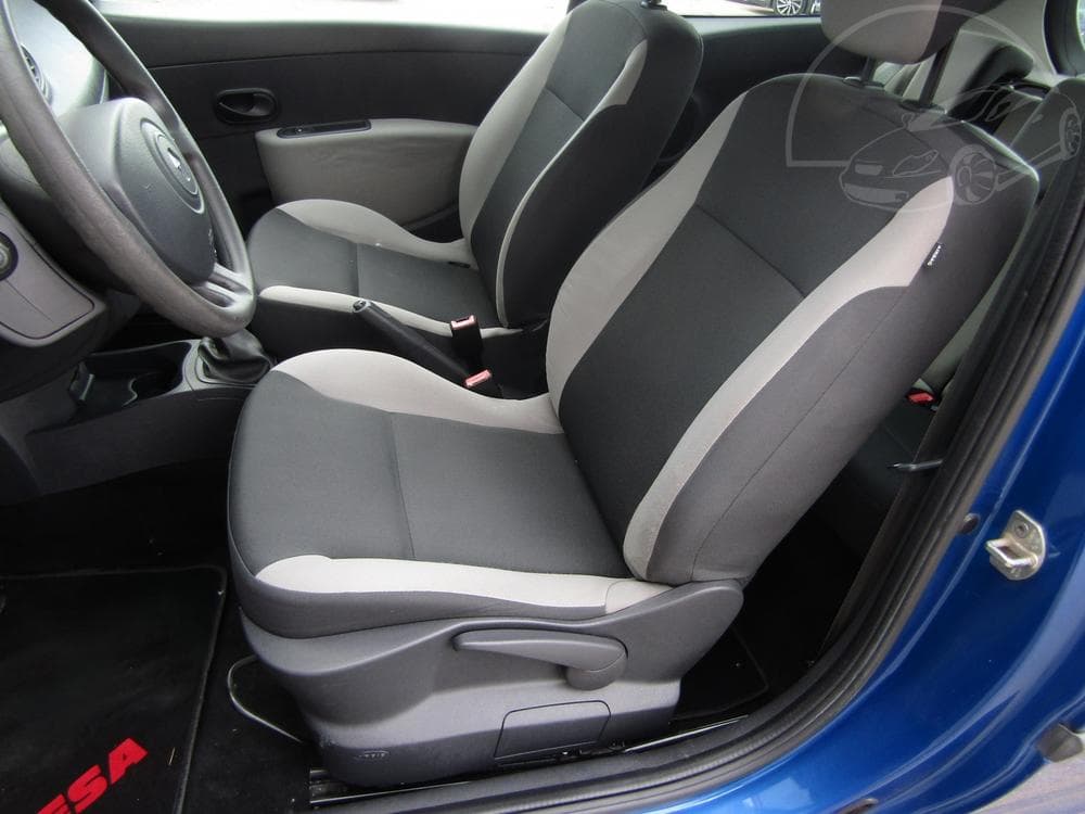 2009 Renault CLIO - 25