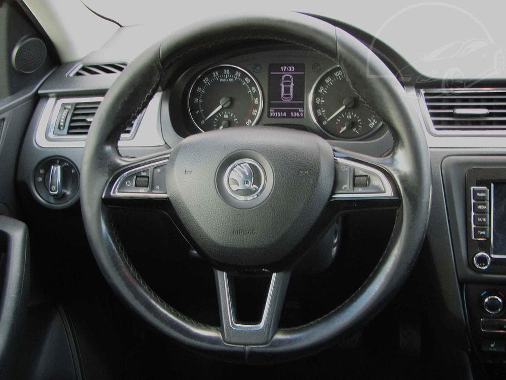 2013 Škoda RAPID - 13