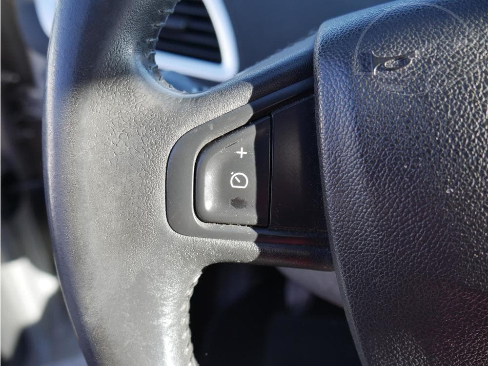 2009 Renault SCENIC - 14