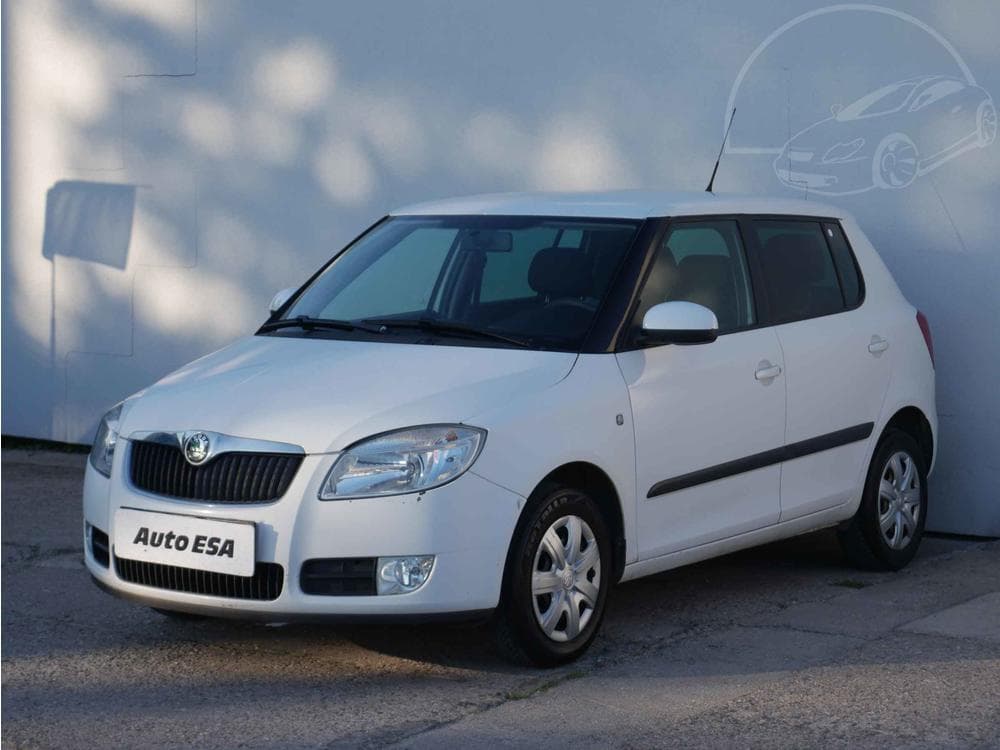 2010 Škoda FABIA - 3