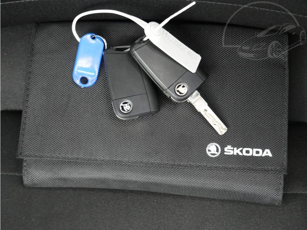 2019 Škoda RAPID - 29