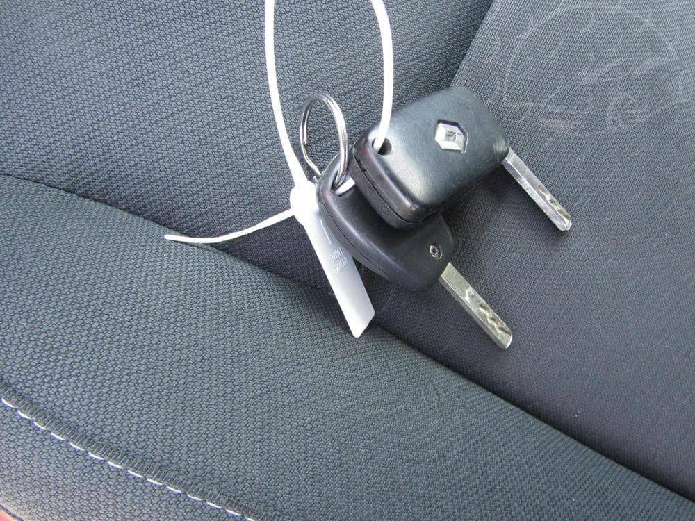 2009 Renault CLIO - 18