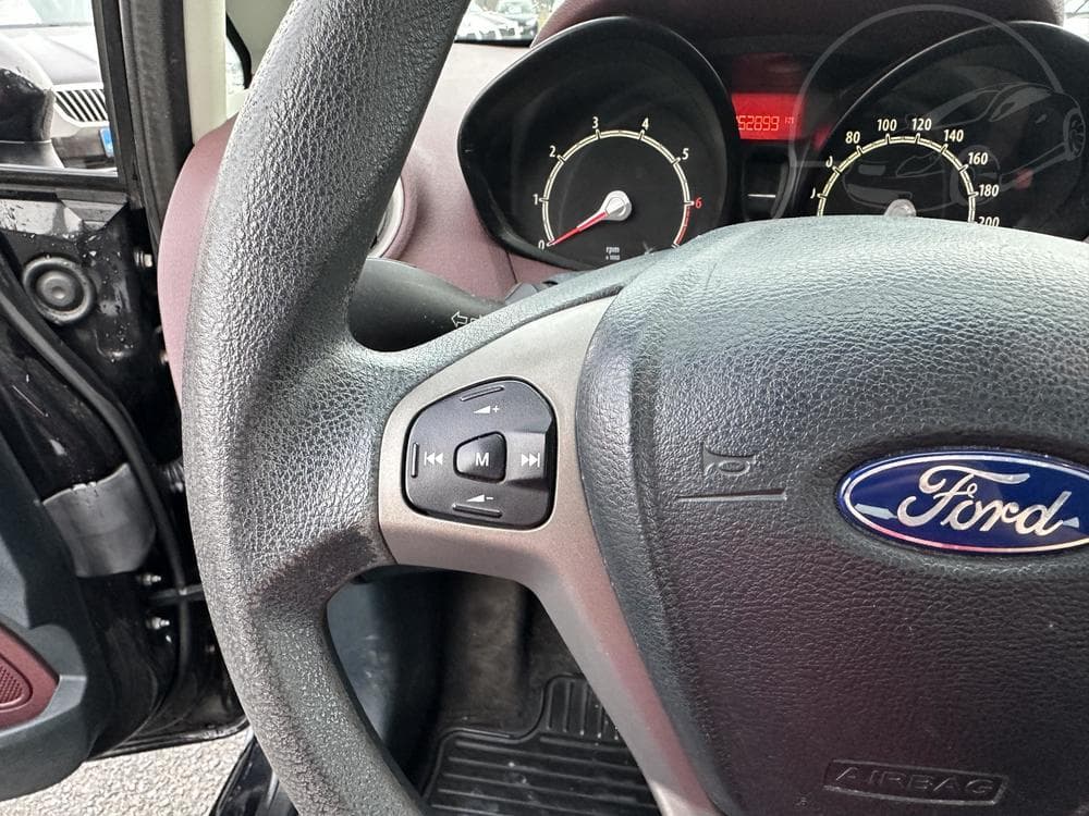 2009 Ford FIESTA - 12