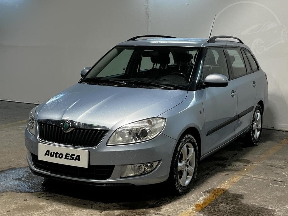 2010 Škoda FABIA - 3