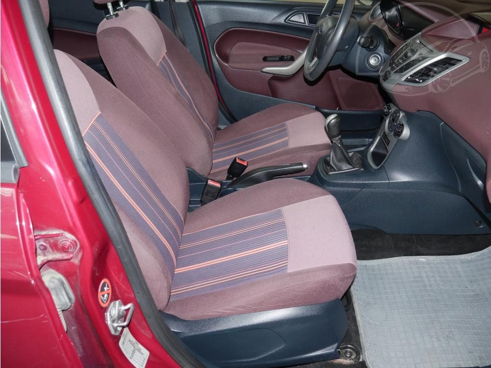2009 Ford FIESTA - 12