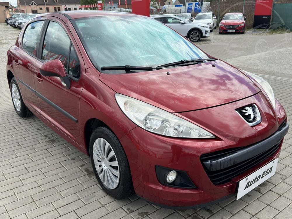2010 Peugeot 207