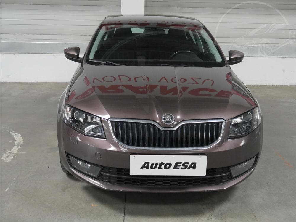 2013 Škoda OCTAVIA - 4