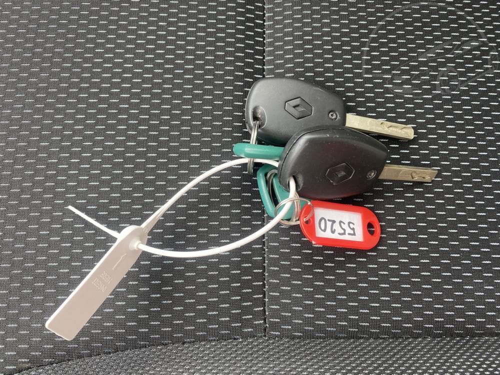 2008 Renault CLIO - 20