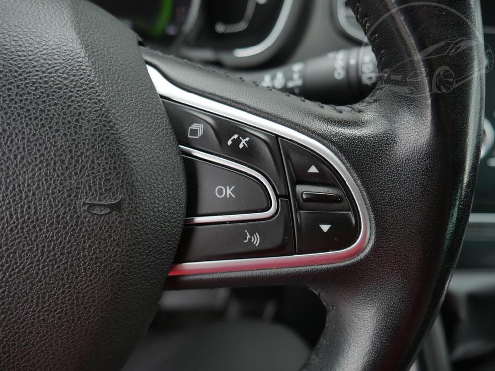 2019 Renault SCENIC - 13