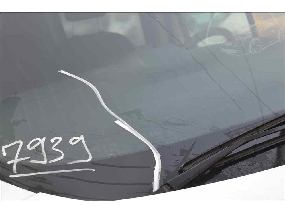 2010 Renault FLUENCE - 8
