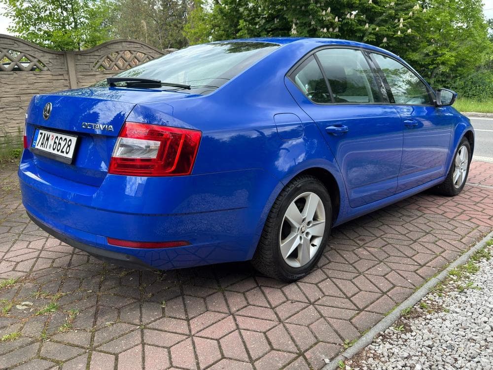 2019 Škoda OCTAVIA - 11