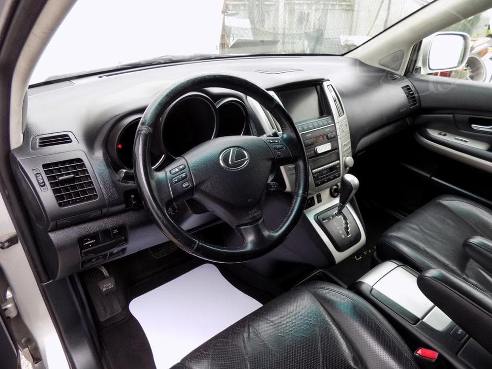 2010 Lexus RX - 14