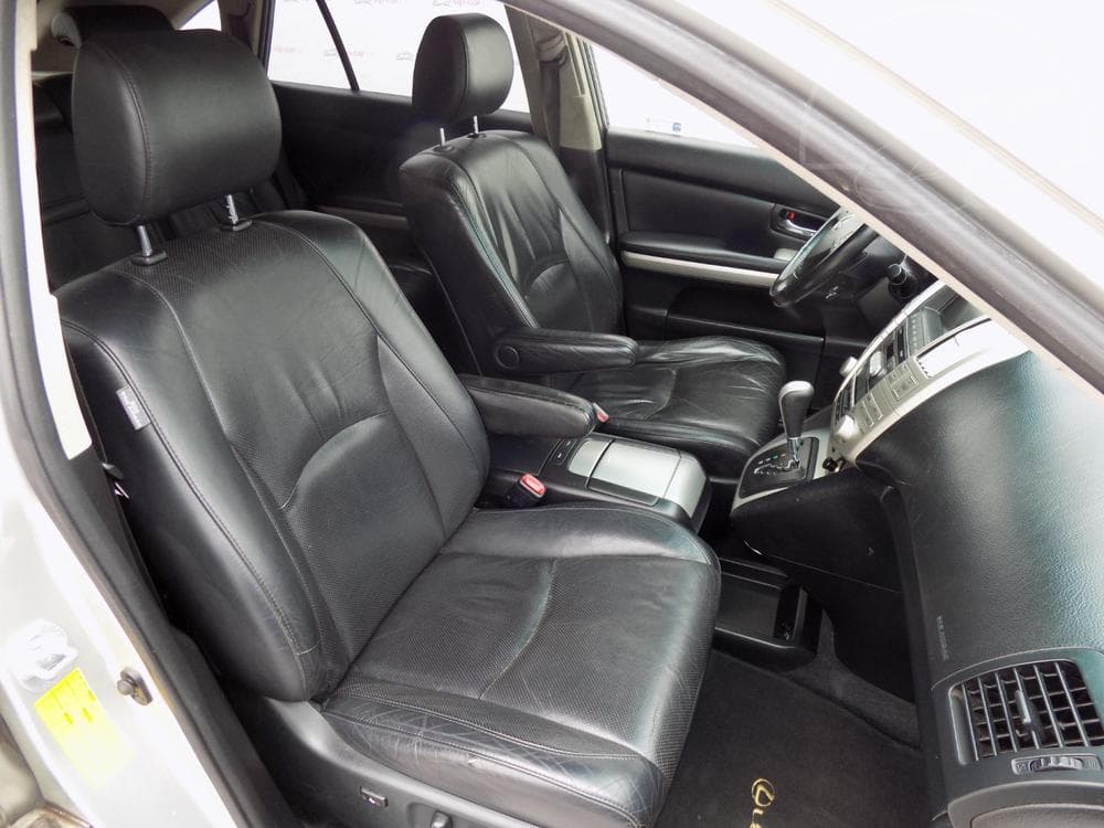 2010 Lexus RX - 18