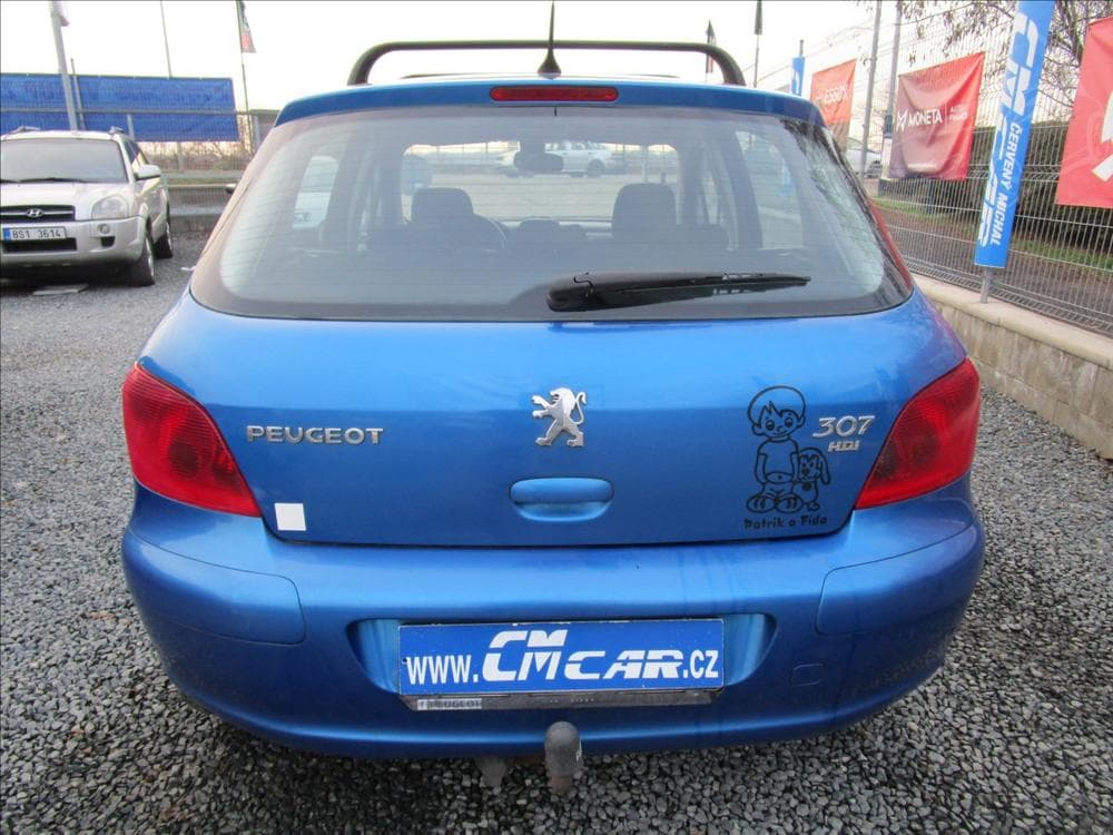 2005 Peugeot 307 - 5