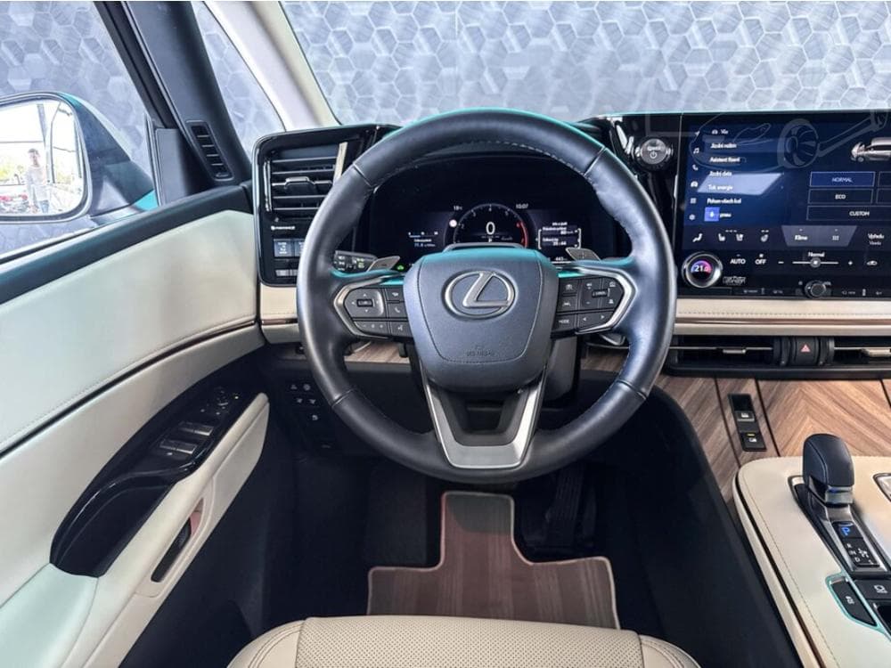 2023 Lexus LM - 29