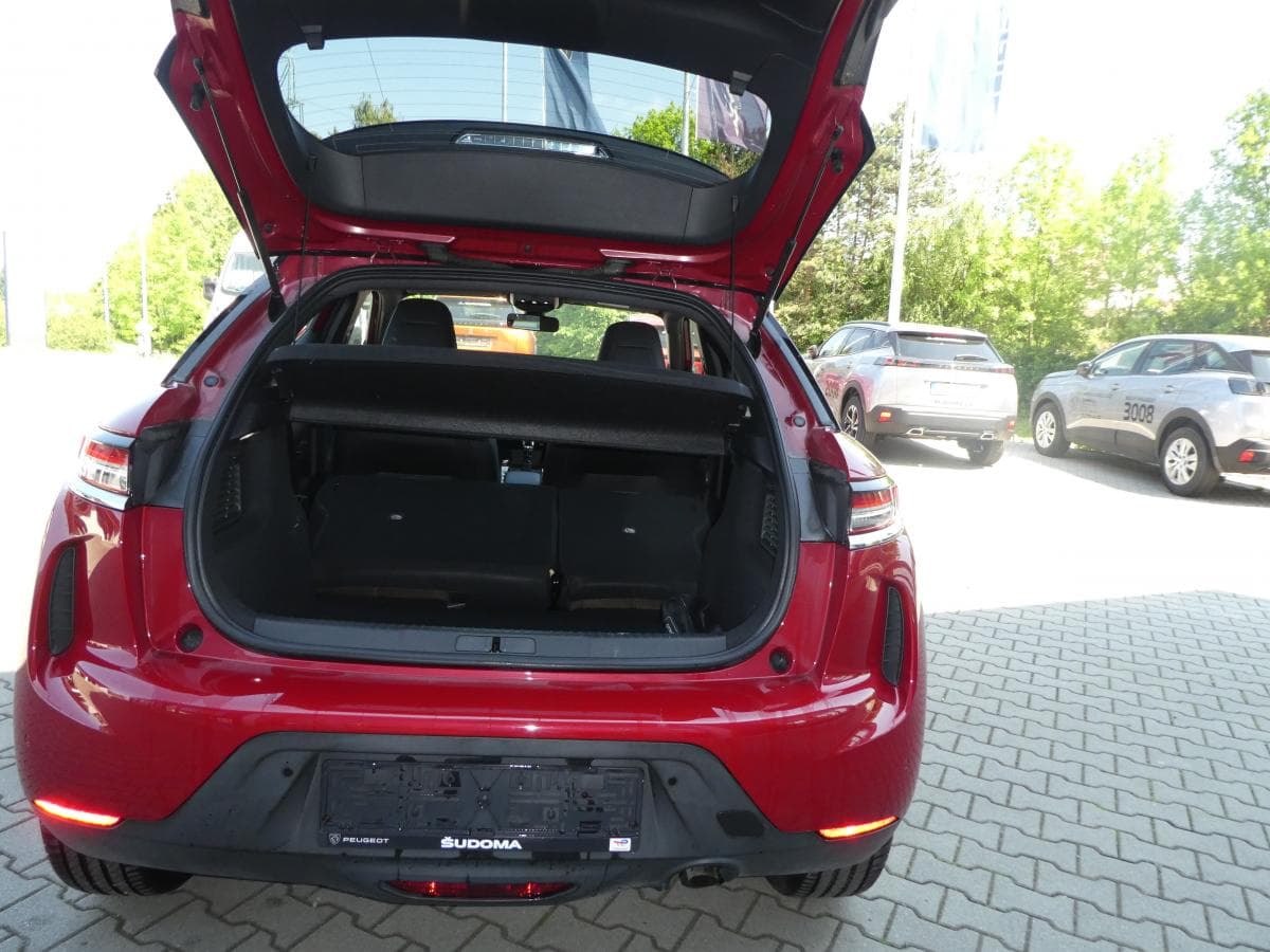 DS Automobiles OSTATNÍ - 12