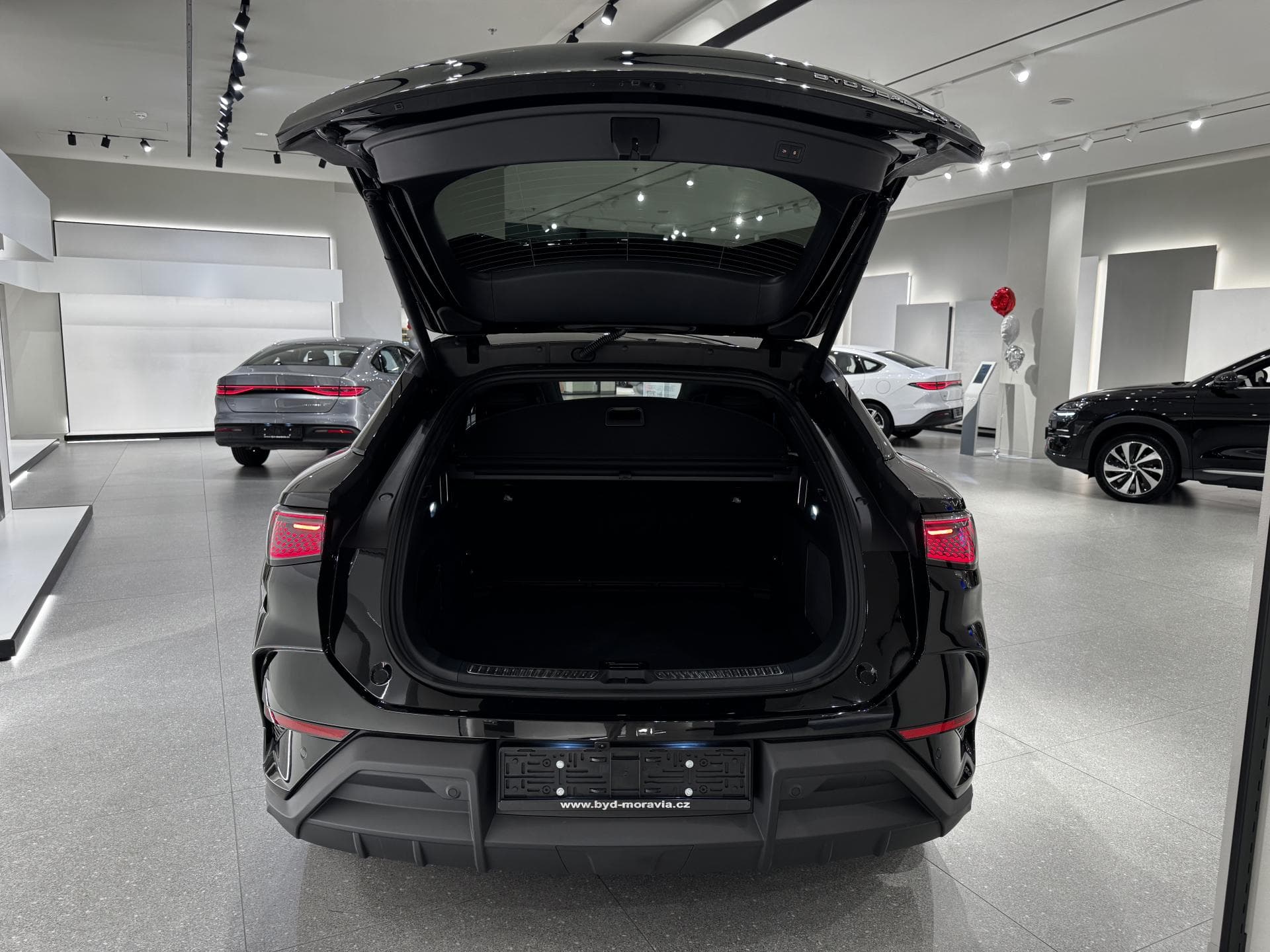 BYD SEALION - 4