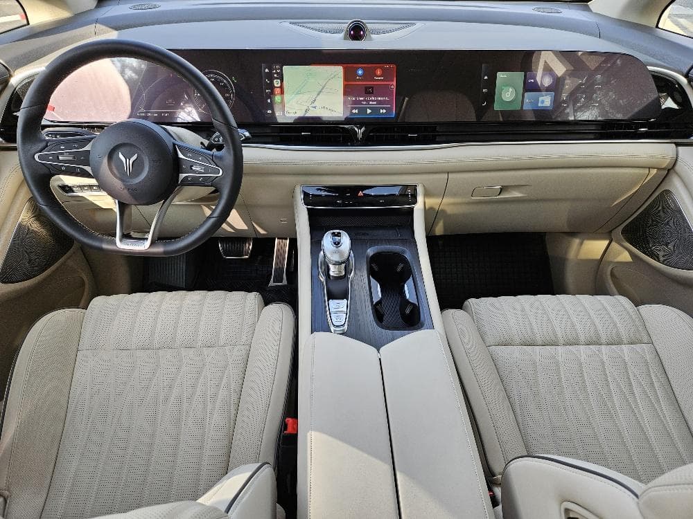 Dongfeng Ostatní - 10