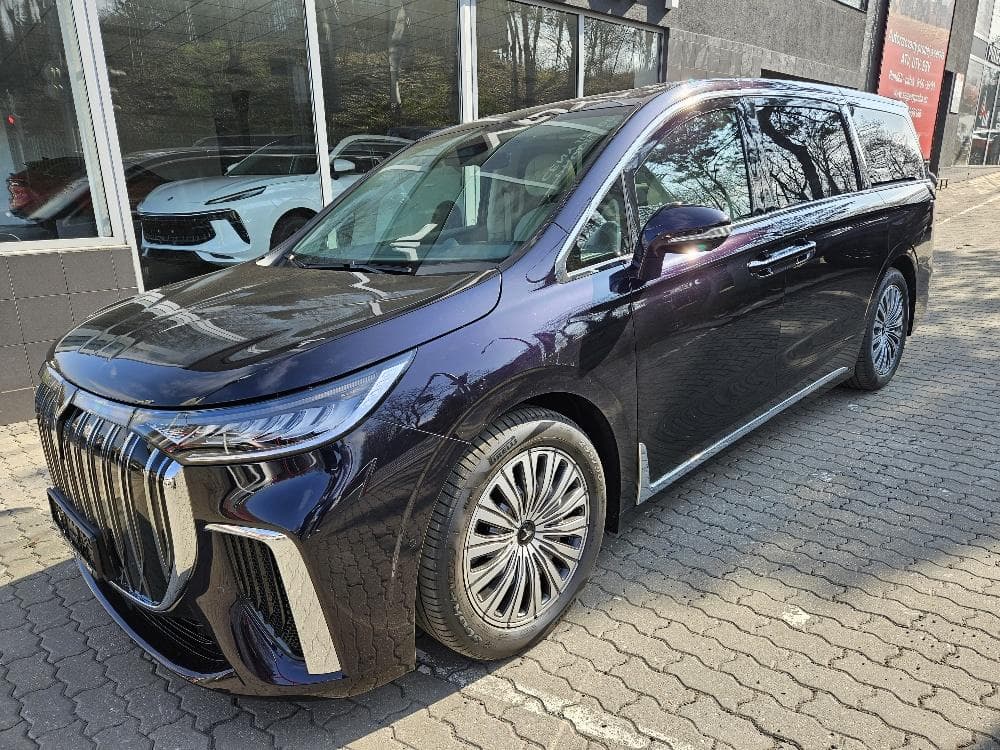 Dongfeng Ostatní - 2