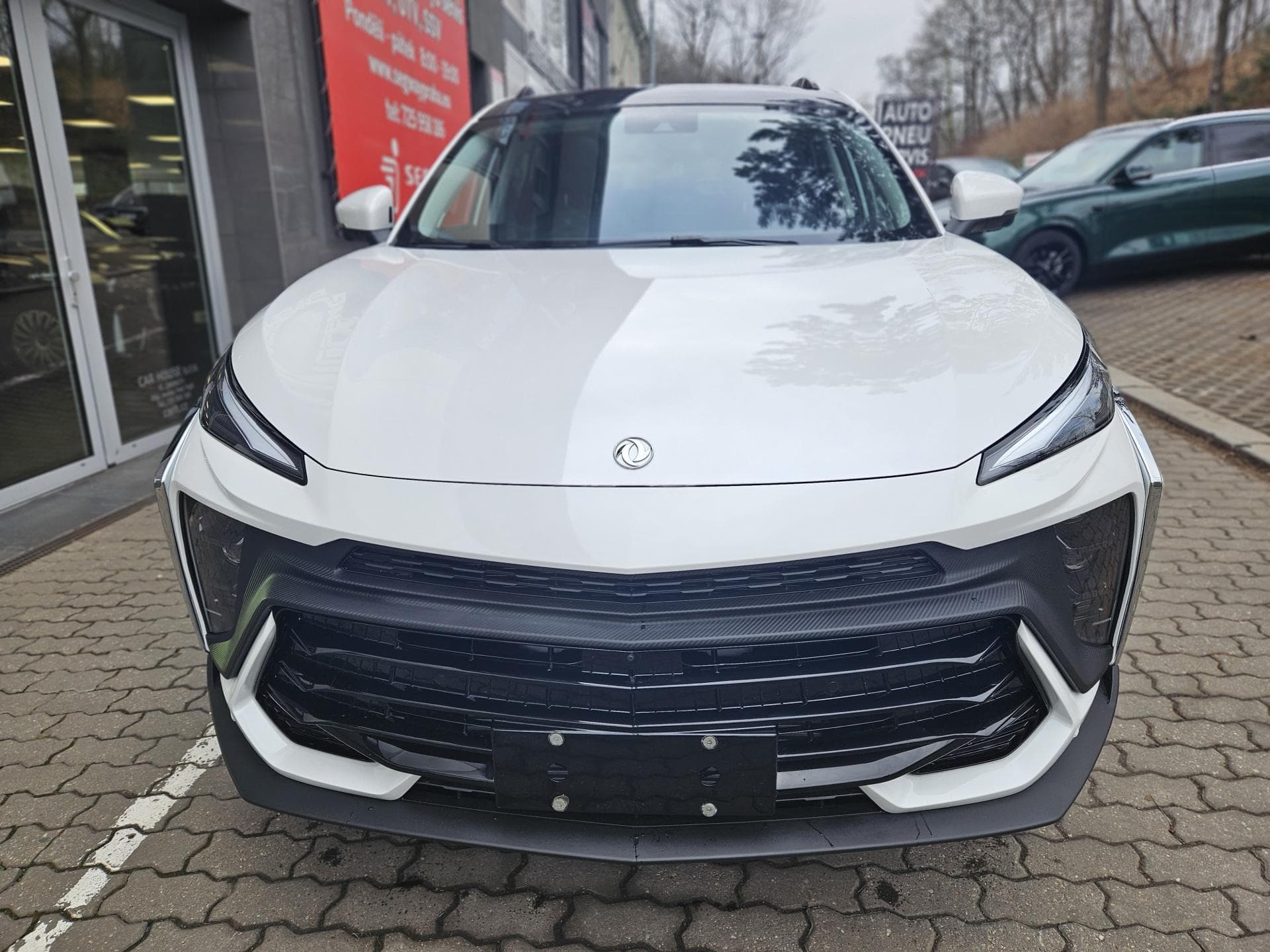 Dongfeng T5 EVO - 3