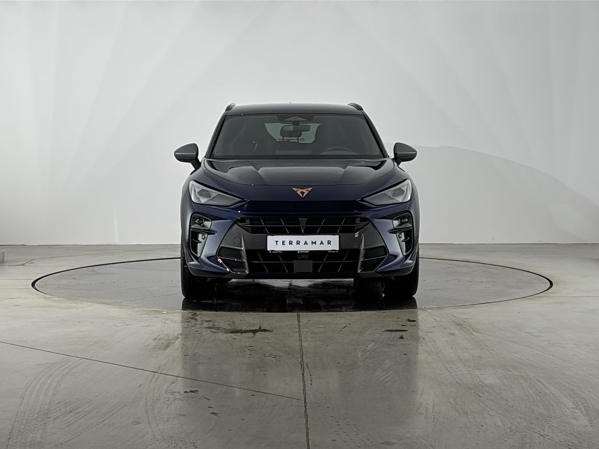 Cupra TERRAMAR - 4