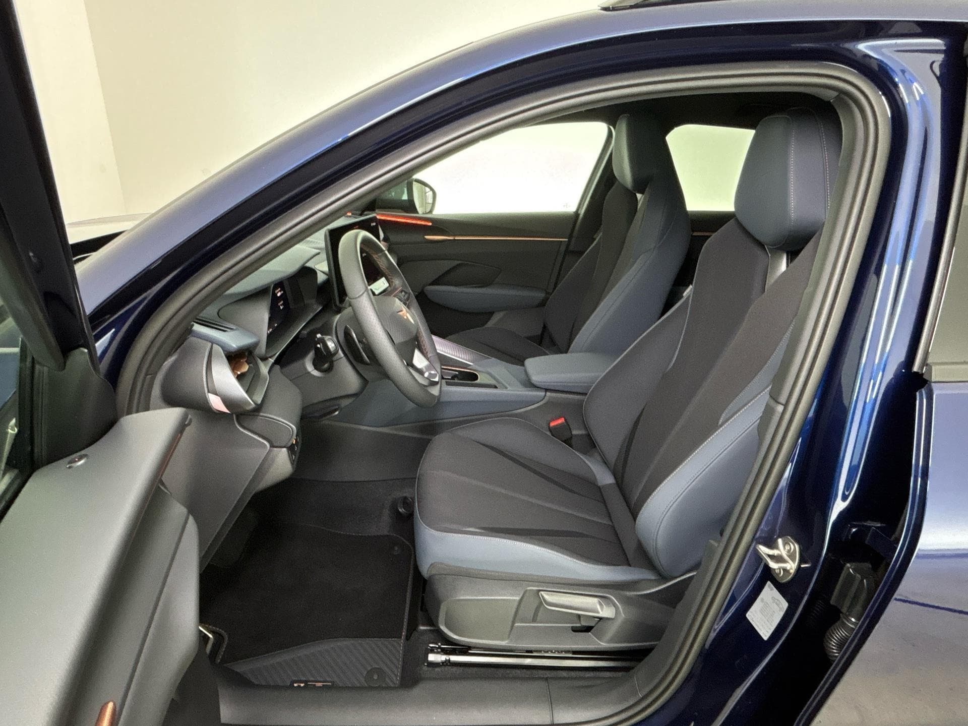 Cupra TERRAMAR - 7