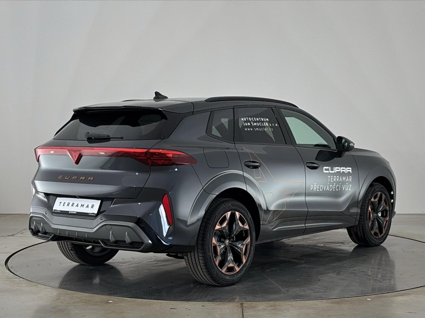 Cupra TERRAMAR - 2