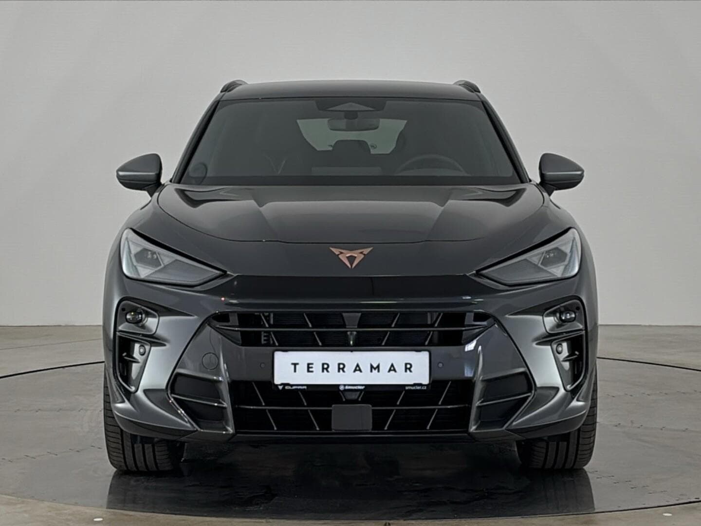 Cupra TERRAMAR - 4