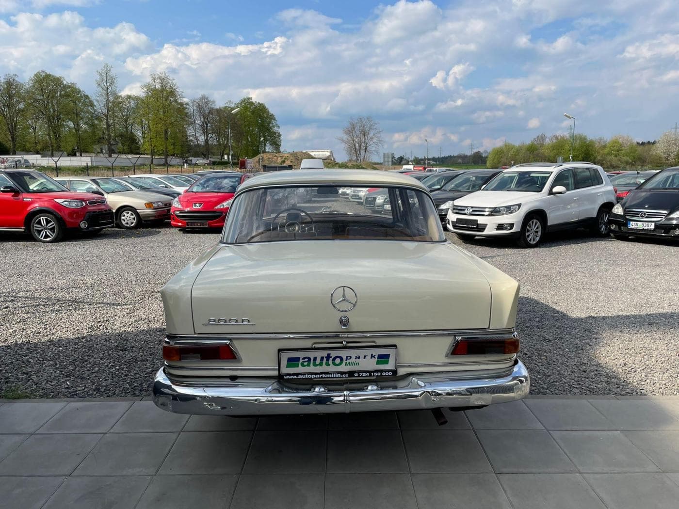 1965 Mercedes-Benz Ostatní - 5