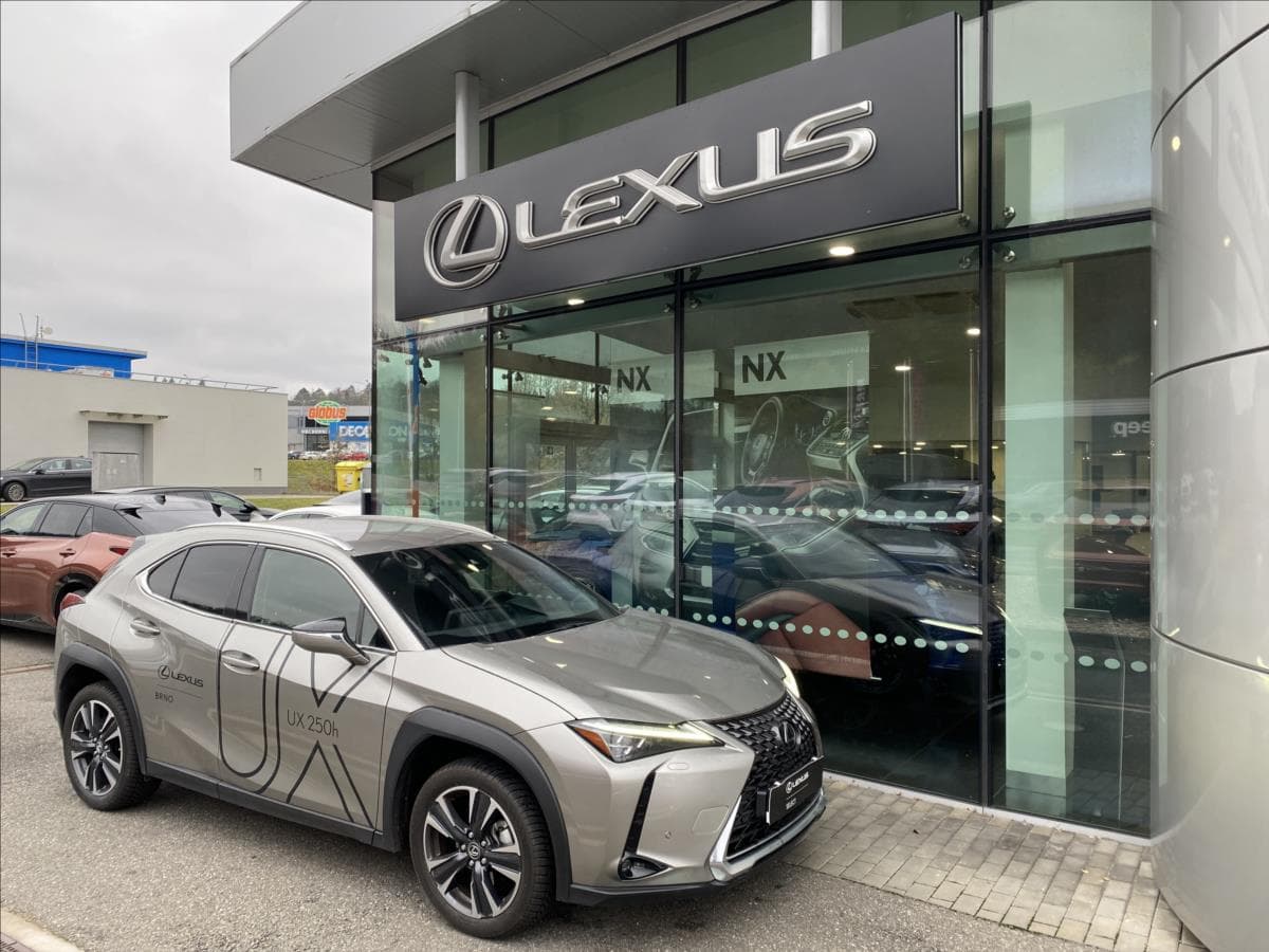 2022 Lexus Ux - 7