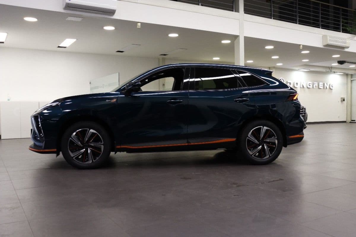 2024 Dongfeng T5 EVO - 6